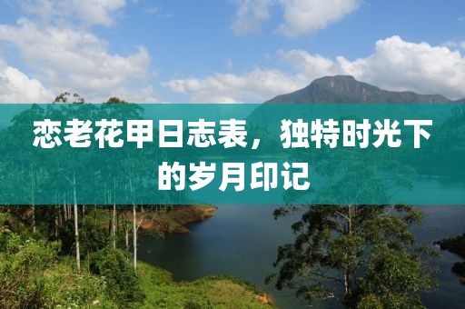 恋老花甲日志表，独特时光下的岁月印记