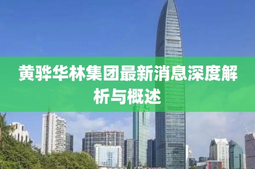 黄骅华林集团最新消息深度解析与概述
