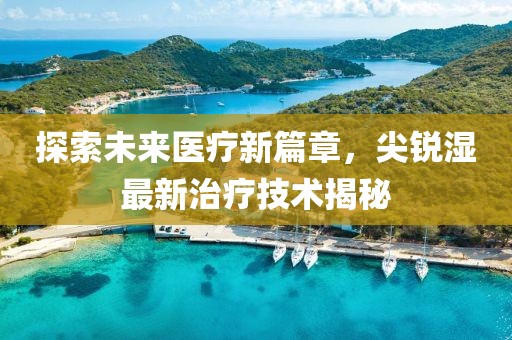 探索未来医疗新篇章，尖锐湿最新治疗技术揭秘