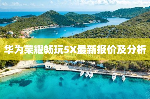 华为荣耀畅玩5X最新报价及分析