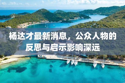 杨达才最新消息，公众人物的反思与启示影响深远