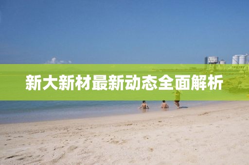 新大新材最新动态全面解析