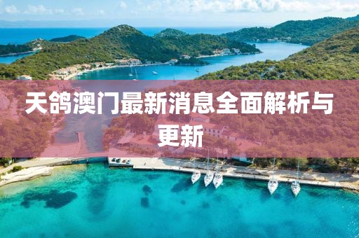 天鸽澳门最新消息全面解析与更新