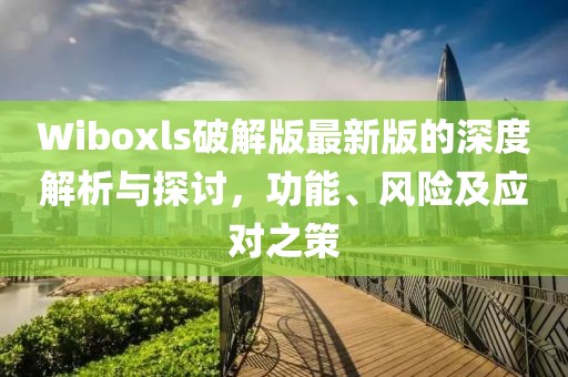 Wiboxls破解版最新版的深度解析与探讨，功能、风险及应对之策