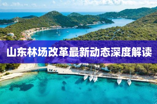 山东林场改革最新动态深度解读