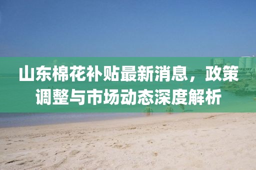 山东棉花补贴最新消息，政策调整与市场动态深度解析