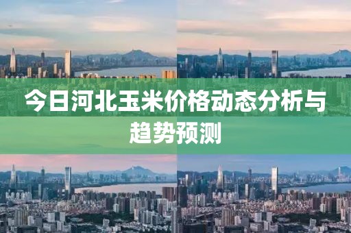 今日河北玉米价格动态分析与趋势预测