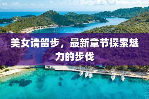 美女请留步，最新章节探索魅力的步伐