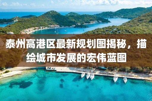泰州高港区最新规划图揭秘，描绘城市发展的宏伟蓝图