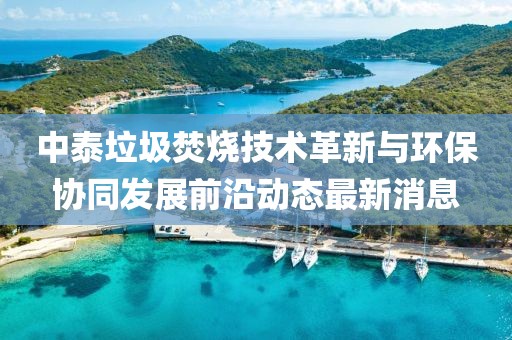 中泰垃圾焚烧技术革新与环保协同发展前沿动态最新消息