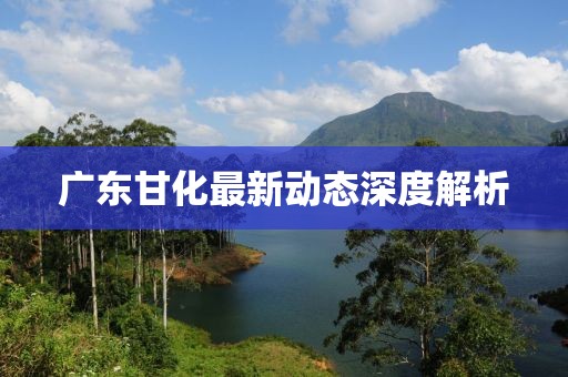 广东甘化最新动态深度解析
