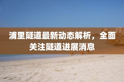 浦里隧道最新动态解析，全面关注隧道进展消息