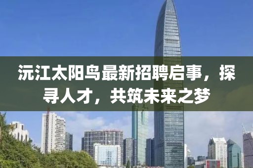 沅江太阳鸟最新招聘启事，探寻人才，共筑未来之梦