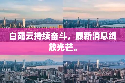 白茹云持续奋斗，最新消息绽放光芒。