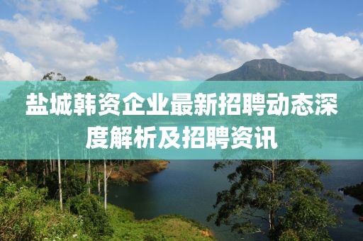 盐城韩资企业最新招聘动态深度解析及招聘资讯