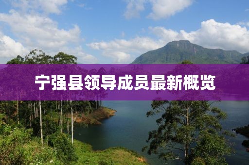 宁强县领导成员最新概览