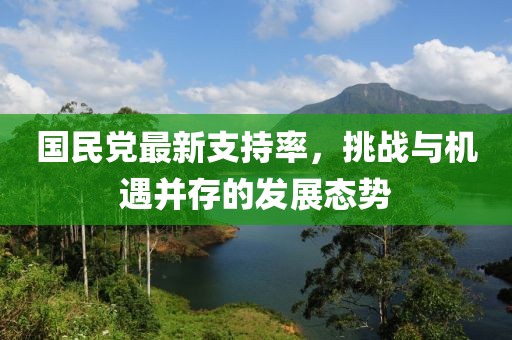 国民党最新支持率，挑战与机遇并存的发展态势