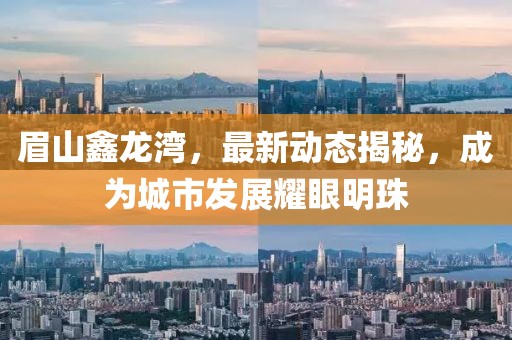 眉山鑫龙湾，最新动态揭秘，成为城市发展耀眼明珠