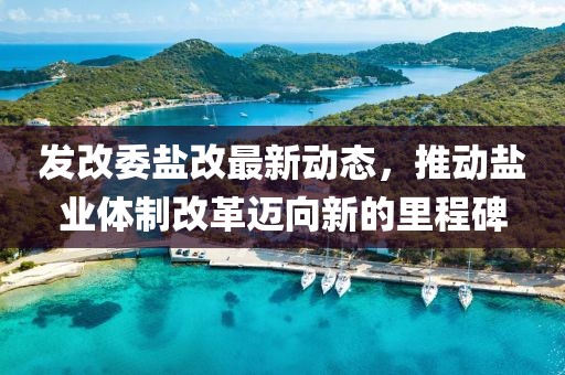 2025年2月 第8页