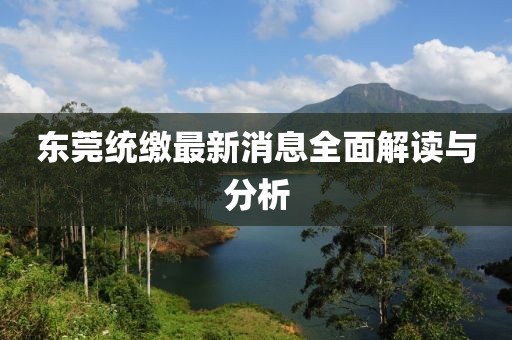 东莞统缴最新消息全面解读与分析