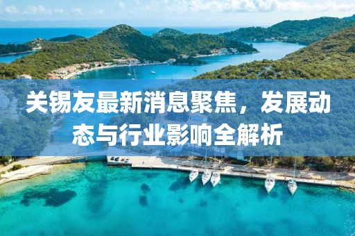 关锡友最新消息聚焦，发展动态与行业影响全解析