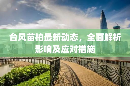 台风苗柏最新动态，全面解析影响及应对措施