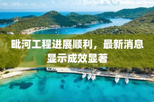 毗河工程进展顺利，最新消息显示成效显著