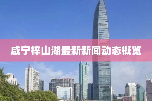 咸宁梓山湖最新新闻动态概览