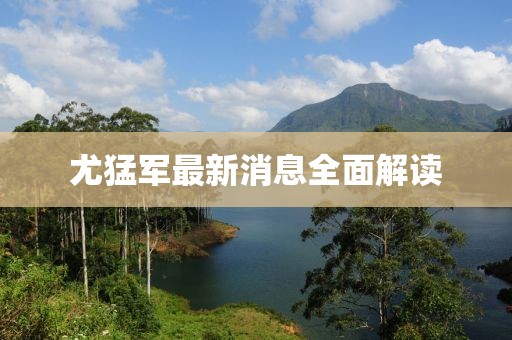 尤猛军最新消息全面解读