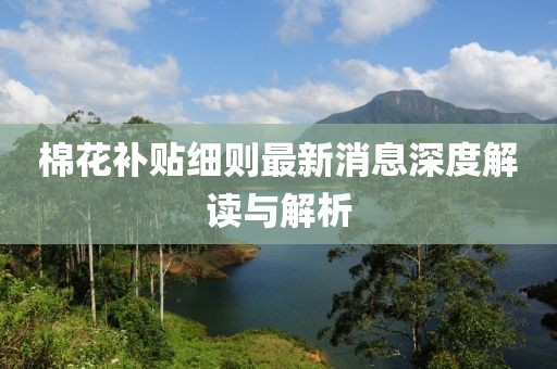 棉花补贴细则最新消息深度解读与解析