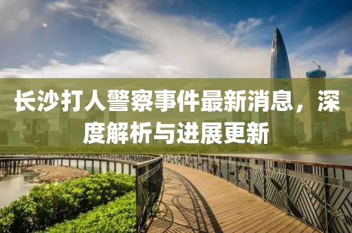 长沙打人警察事件最新消息，深度解析与进展更新