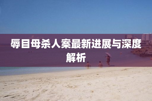 辱目母杀人案最新进展与深度解析