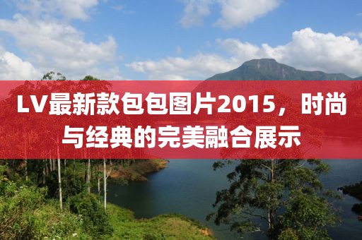 LV最新款包包图片2015，时尚与经典的完美融合展示
