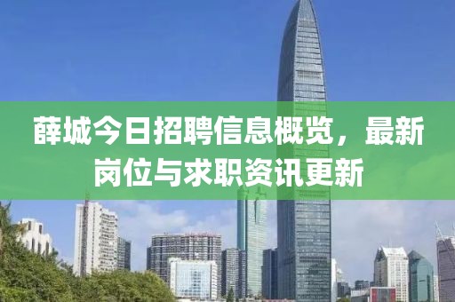 薛城今日招聘信息概览，最新岗位与求职资讯更新