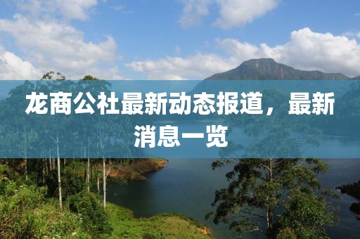 龙商公社最新动态报道，最新消息一览
