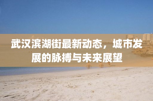 武汉滨湖街最新动态，城市发展的脉搏与未来展望