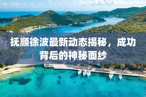 抚顺徐波最新动态揭秘，成功背后的神秘面纱