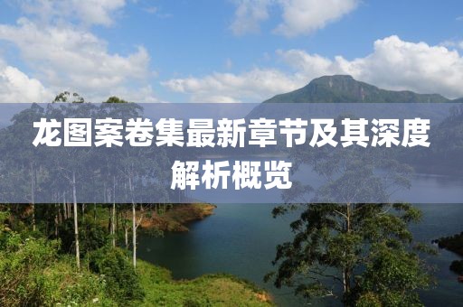 龙图案卷集最新章节及其深度解析概览