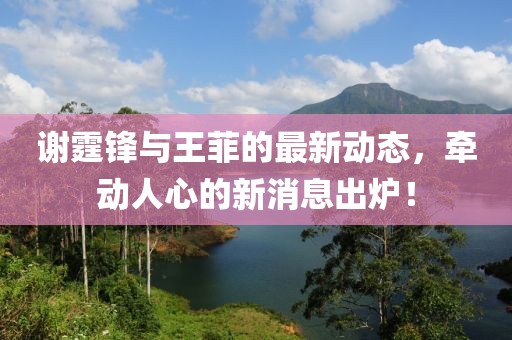 谢霆锋与王菲的最新动态，牵动人心的新消息出炉！