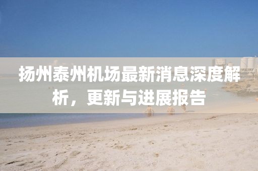 扬州泰州机场最新消息深度解析，更新与进展报告