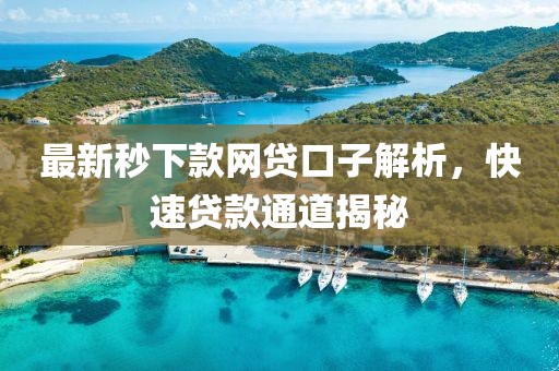 最新秒下款网贷口子解析，快速贷款通道揭秘