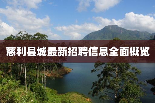 慈利县城最新招聘信息全面概览