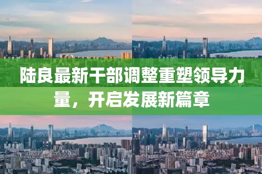 陆良最新干部调整重塑领导力量，开启发展新篇章