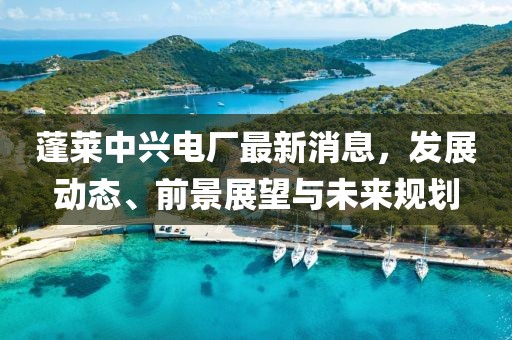 蓬莱中兴电厂最新消息，发展动态、前景展望与未来规划