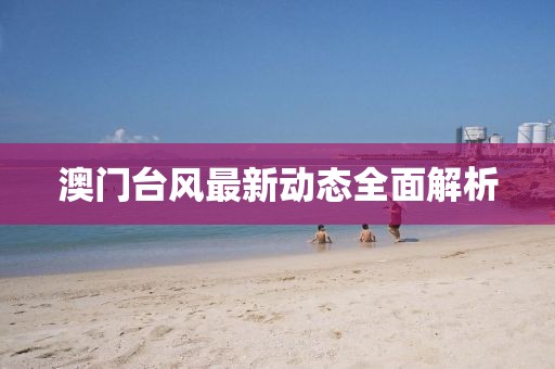 澳门台风最新动态全面解析