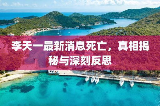 李天一最新消息死亡，真相揭秘与深刻反思