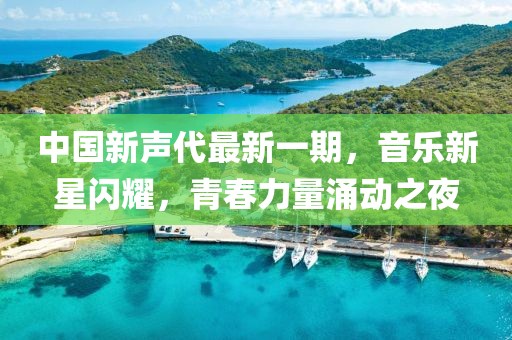 中国新声代最新一期，音乐新星闪耀，青春力量涌动之夜