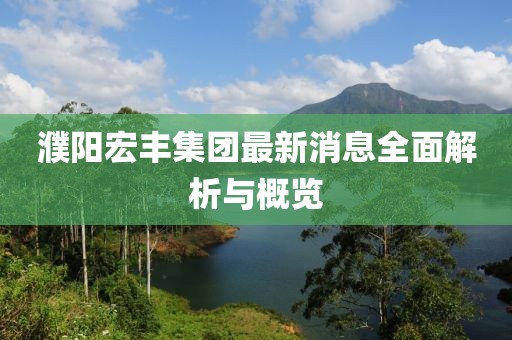 濮阳宏丰集团最新消息全面解析与概览