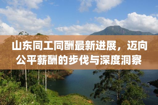 山东同工同酬最新进展，迈向公平薪酬的步伐与深度洞察