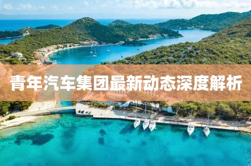 青年汽车集团最新动态深度解析